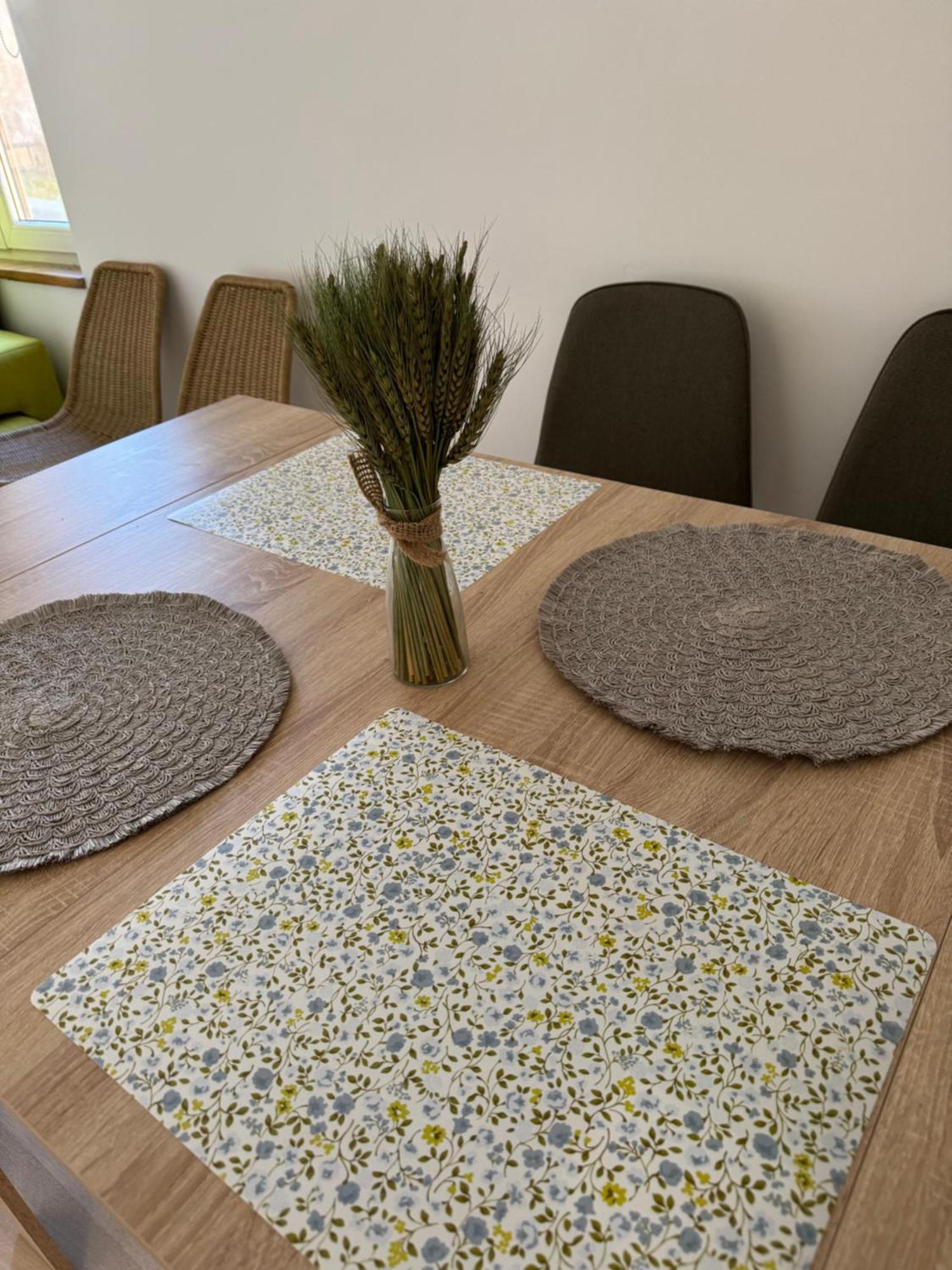 Apartament Monisimas *